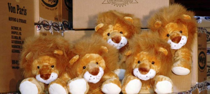 The Story of Duffy the Courage Lion